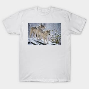 Gray Wolves T-Shirt